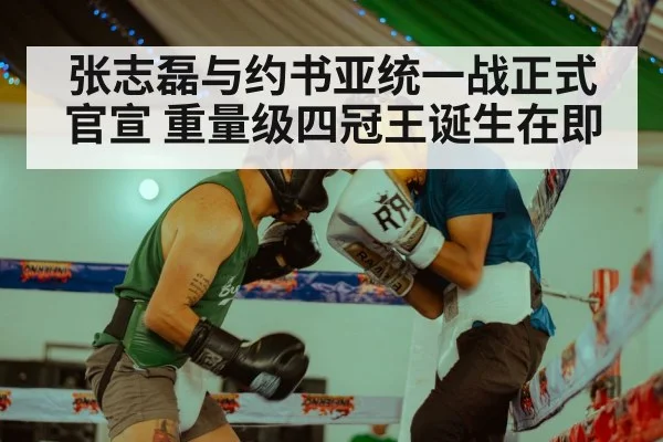 张志磊与约书亚统一战正式官宣 重量级四冠王诞生在即