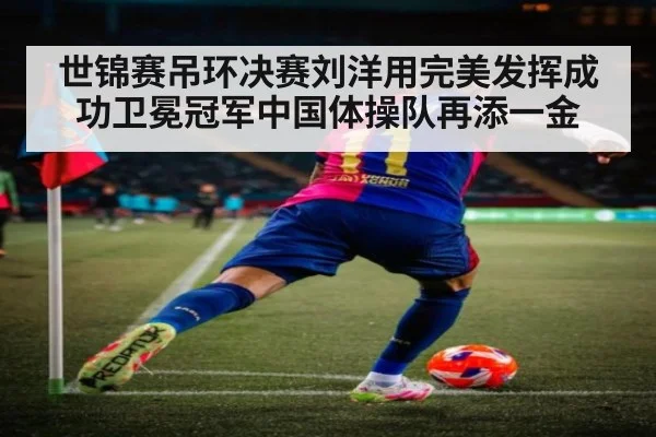 世锦赛吊环决赛刘洋用完美发挥成功卫冕冠军中国体操队再添一金