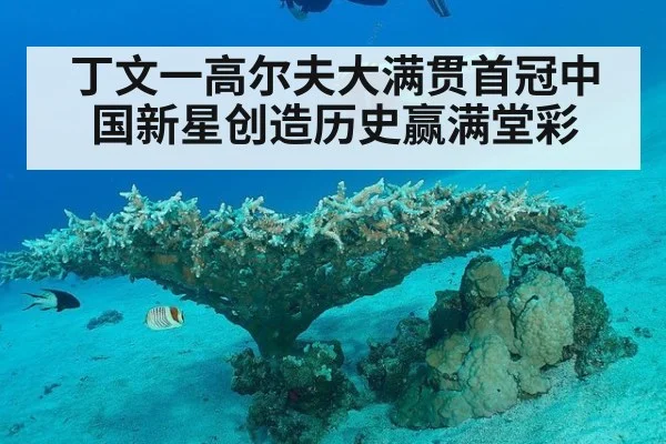 丁文一高尔夫大满贯首冠中国新星创造历史赢满堂彩